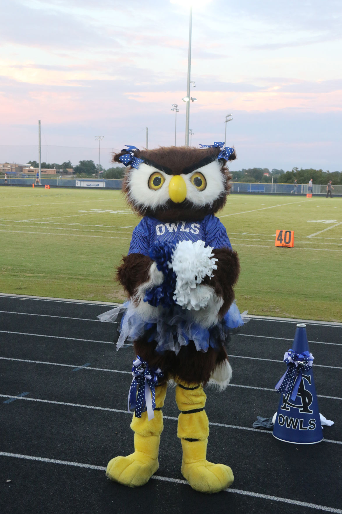 Anderson-Shiro High School homecoming